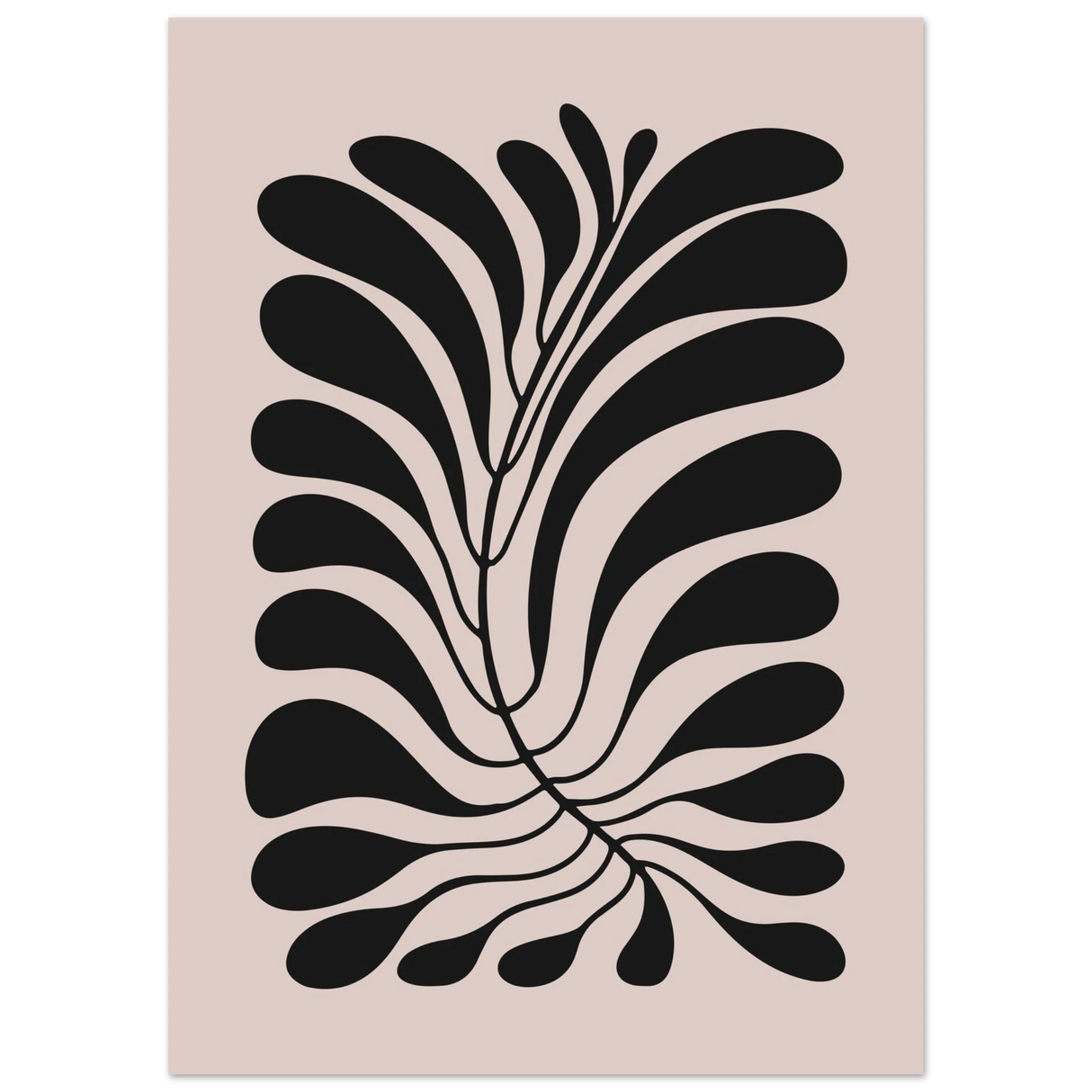#50 x 70 cm