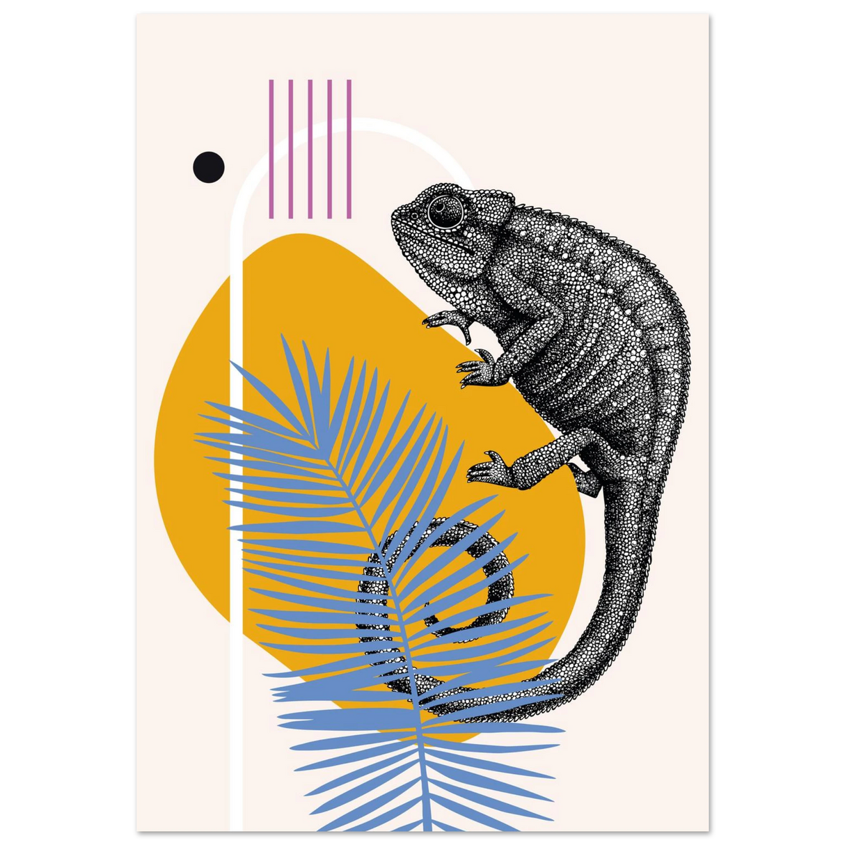 #70 x 100 cm