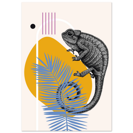 #70 x 100 cm