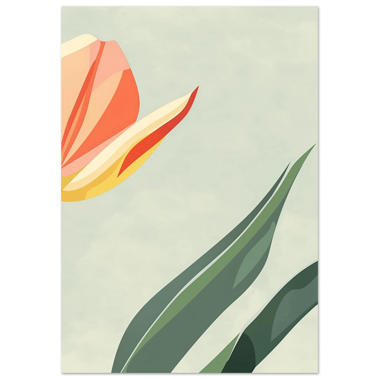 #70 x 100 cm