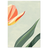 #70 x 100 cm