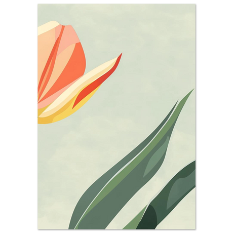 #70 x 100 cm