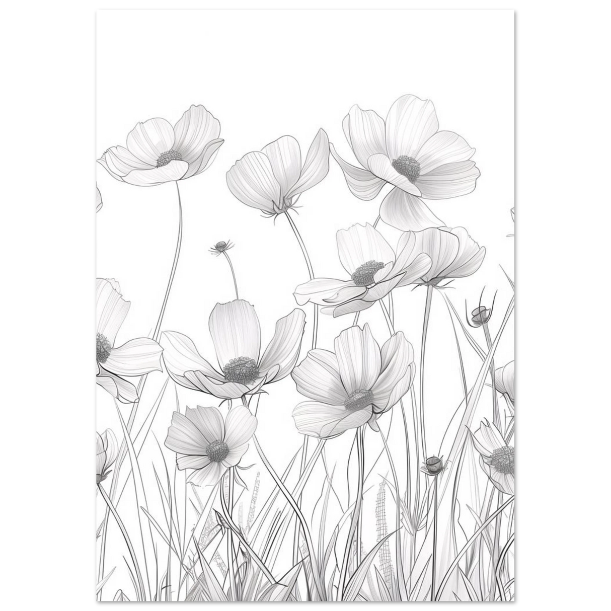 #21 x 29.7 cm