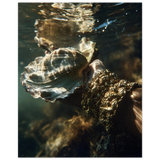 #70 x 100 cm