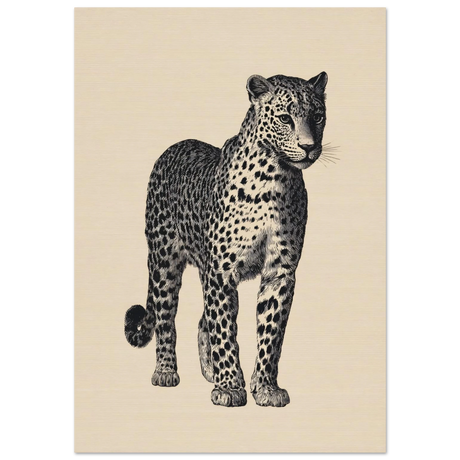 #70 x 100 cm