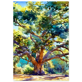 #70 x 100 cm
