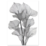 #70 x 100 cm