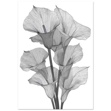 #70 x 100 cm