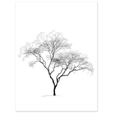 #50 x 70 cm