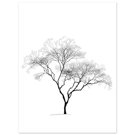 #50 x 70 cm