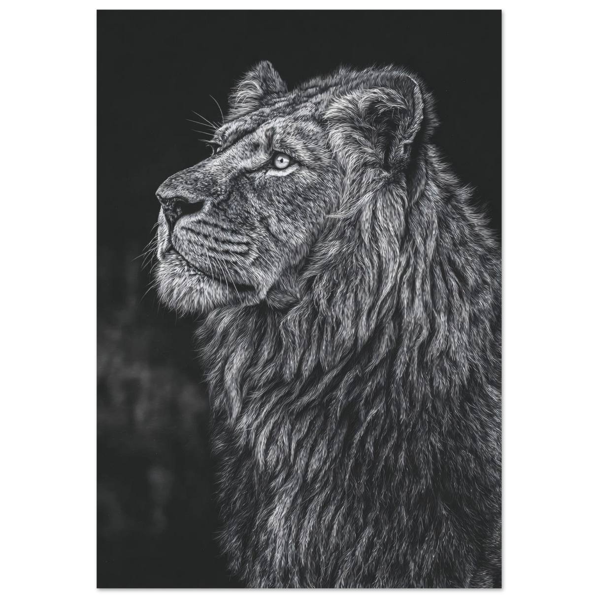 #70 x 100 cm