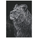 #70 x 100 cm