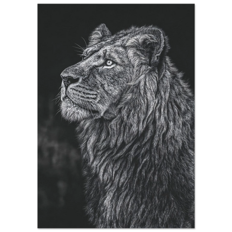 #70 x 100 cm