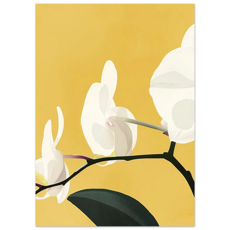 #50 x 70 cm