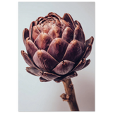 #70 x 100 cm