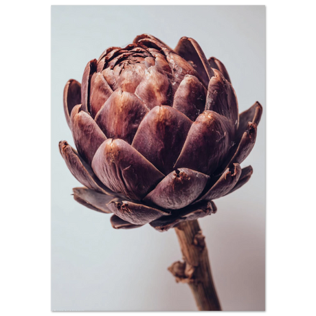 #70 x 100 cm