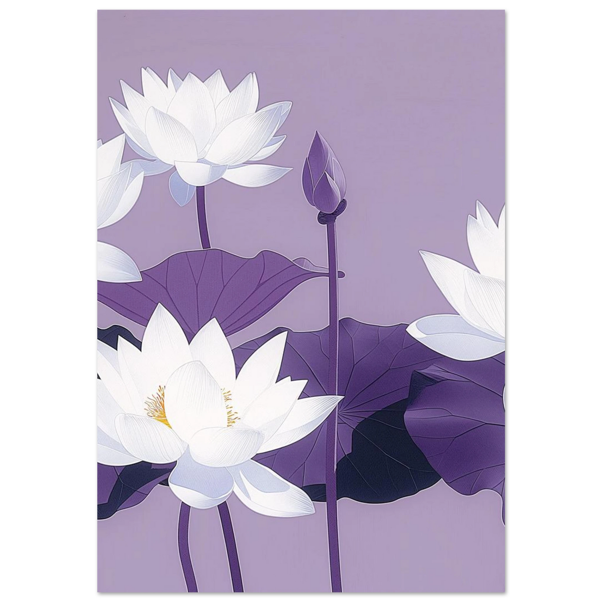 #70 x 100 cm