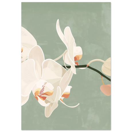 #70 x 100 cm