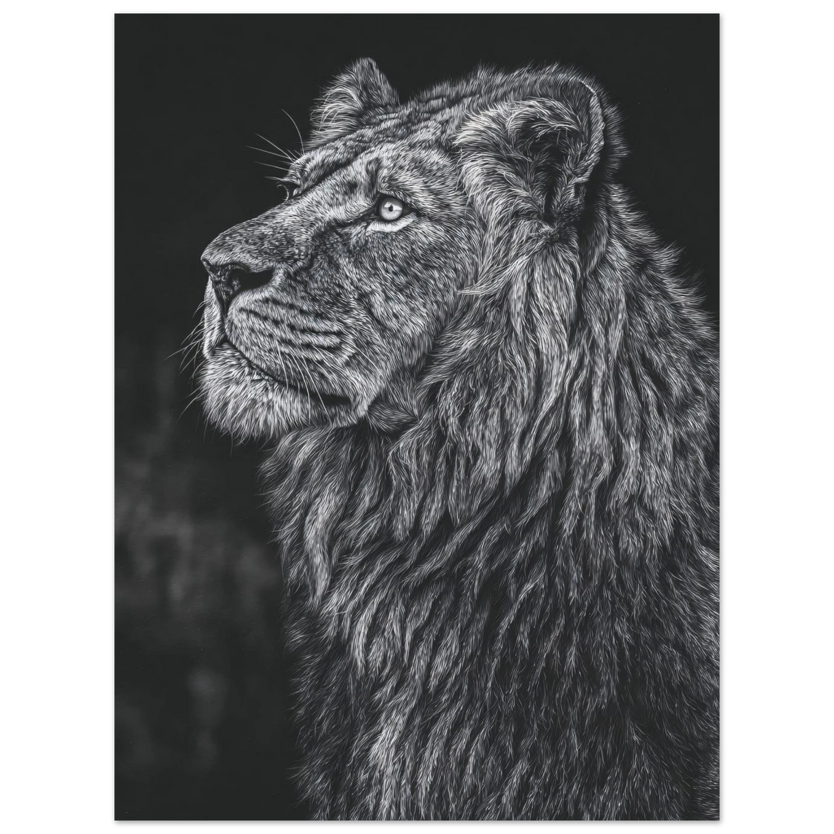 #30 x 40 cm