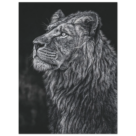 #30 x 40 cm