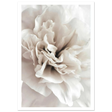 #21 x 29.7 cm