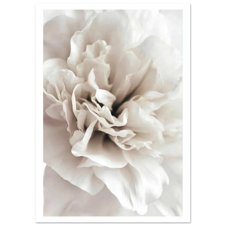 #21 x 29.7 cm