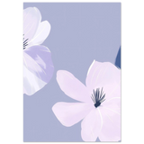 #70 x 100 cm