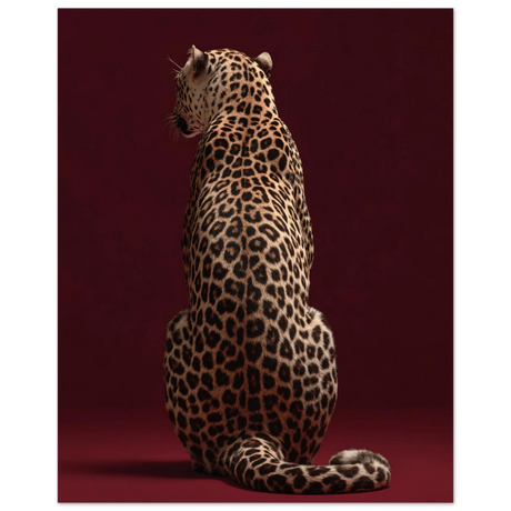 #70 x 100 cm