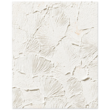 #40 x 50 cm