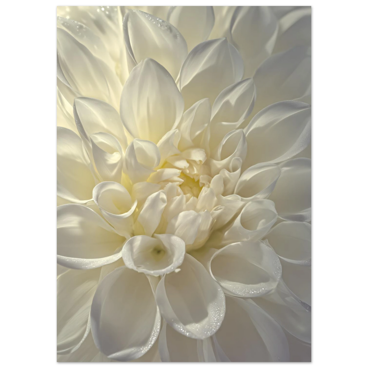#50 x 70 cm