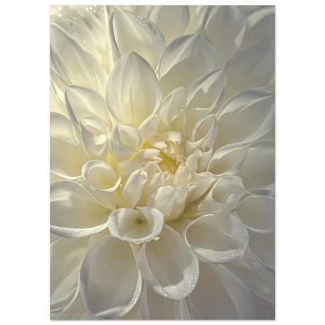 #50 x 70 cm