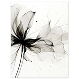 #50 x 70 cm
