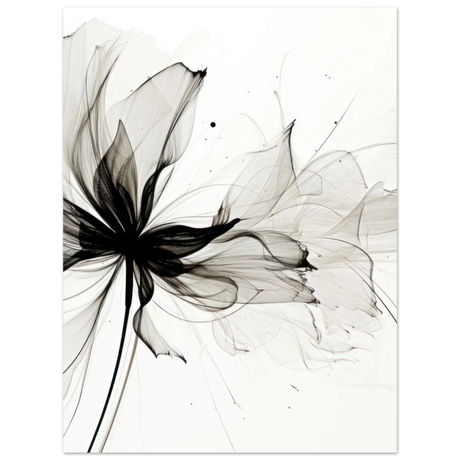 #50 x 70 cm