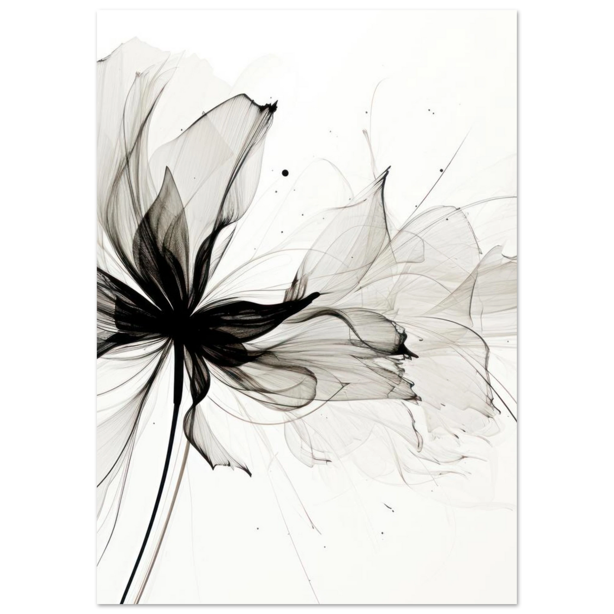 #21 x 29.7 cm