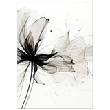 #21 x 29.7 cm