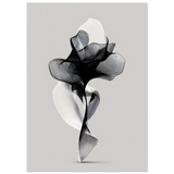 #70 x 100 cm