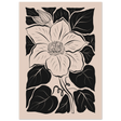 #21 x 29.7 cm