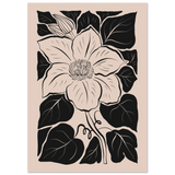 #21 x 29.7 cm