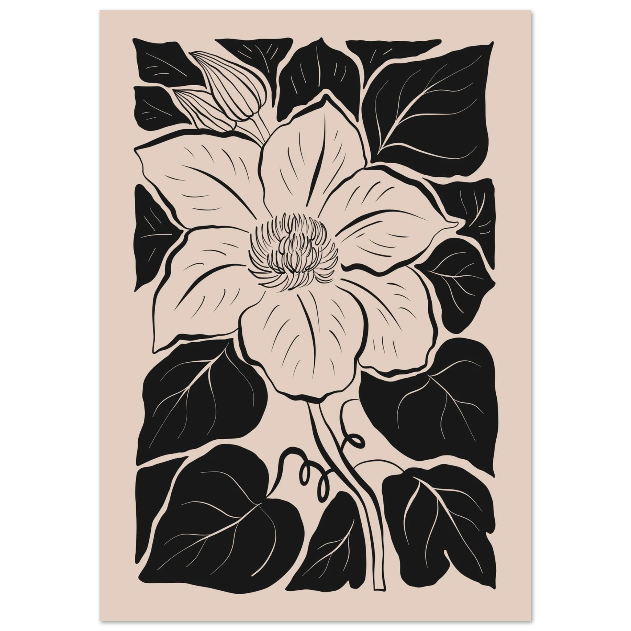 #21 x 29.7 cm