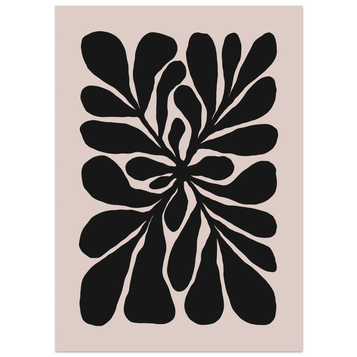 #50 x 70 cm