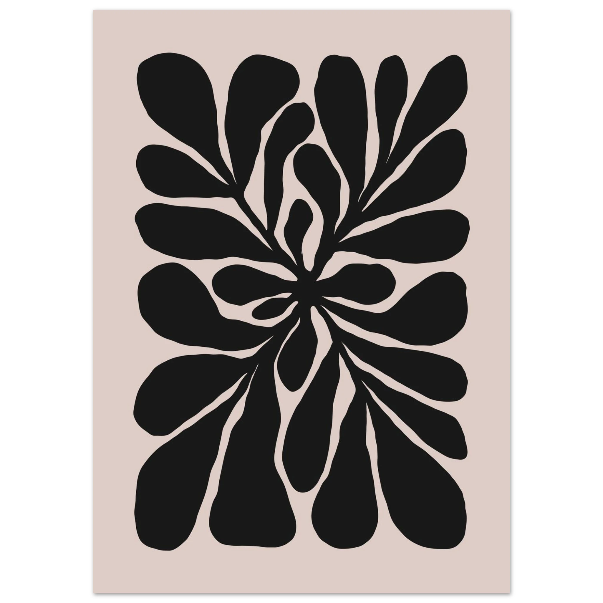 #50 x 70 cm