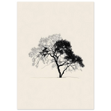 #70 x 100 cm