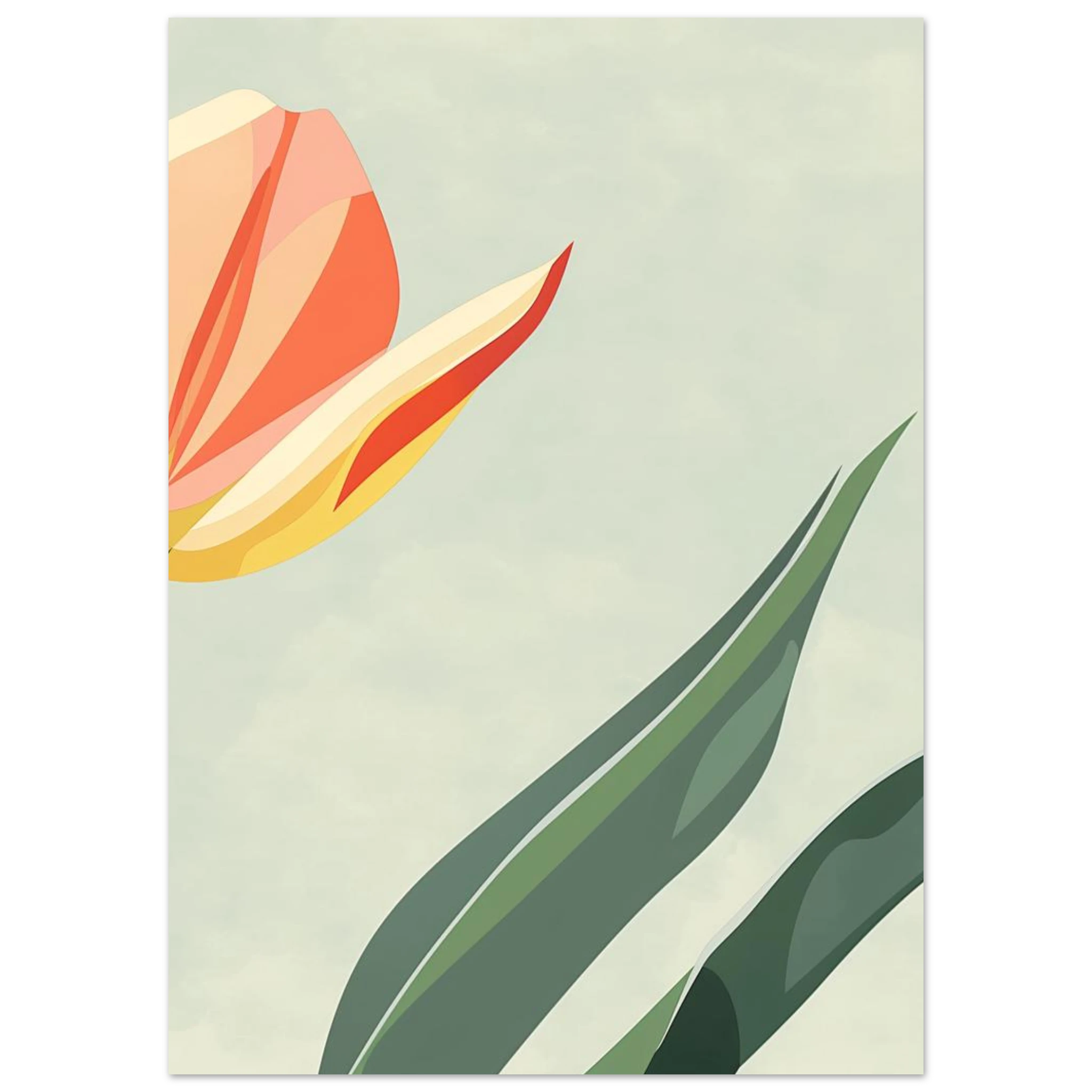 #50 x 70 cm