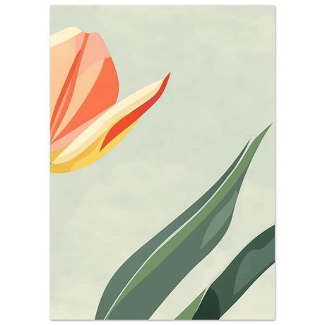#50 x 70 cm
