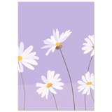 #70 x 100 cm