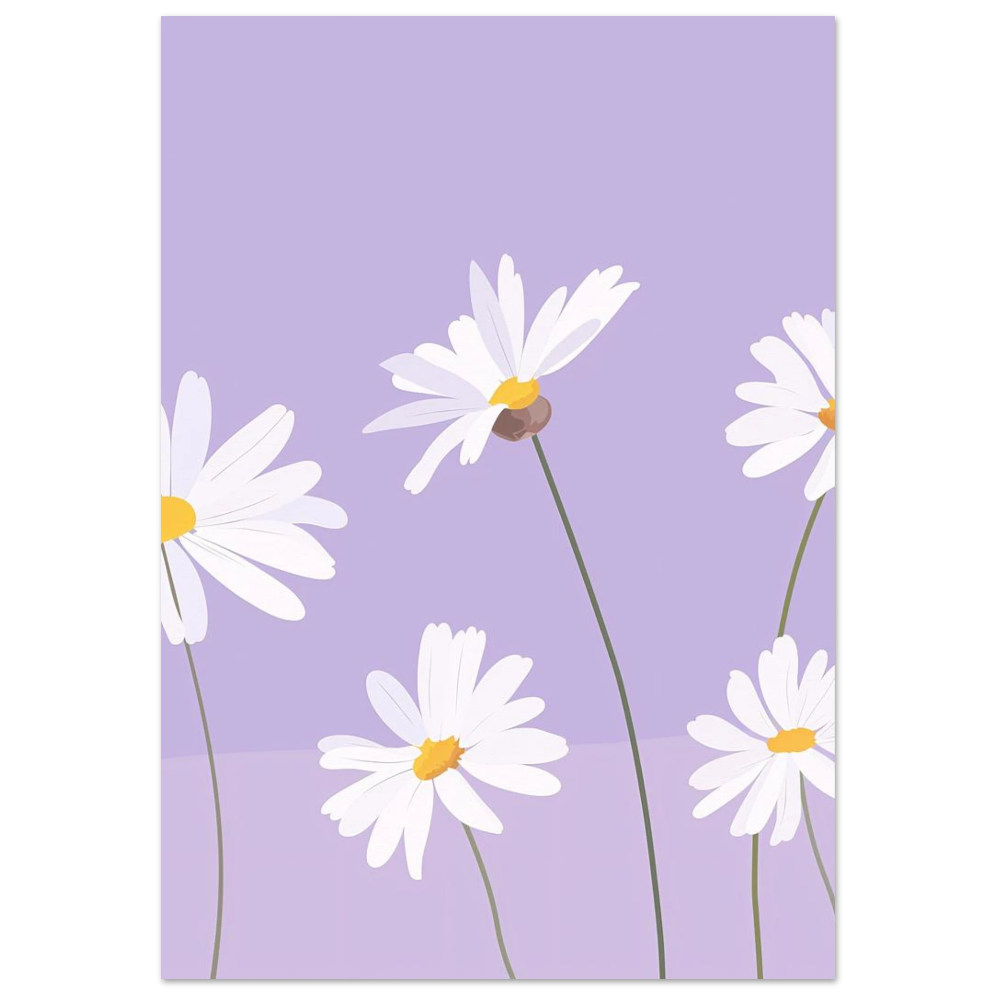#70 x 100 cm