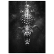 #21 x 29.7 cm