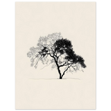 #50 x 70 cm