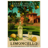 #21 x 29.7 cm