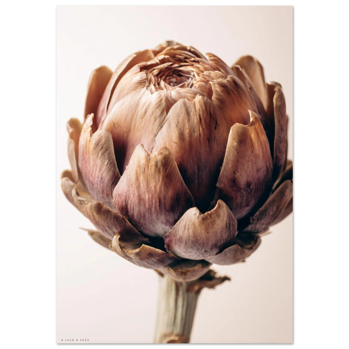 #50 x 70 cm